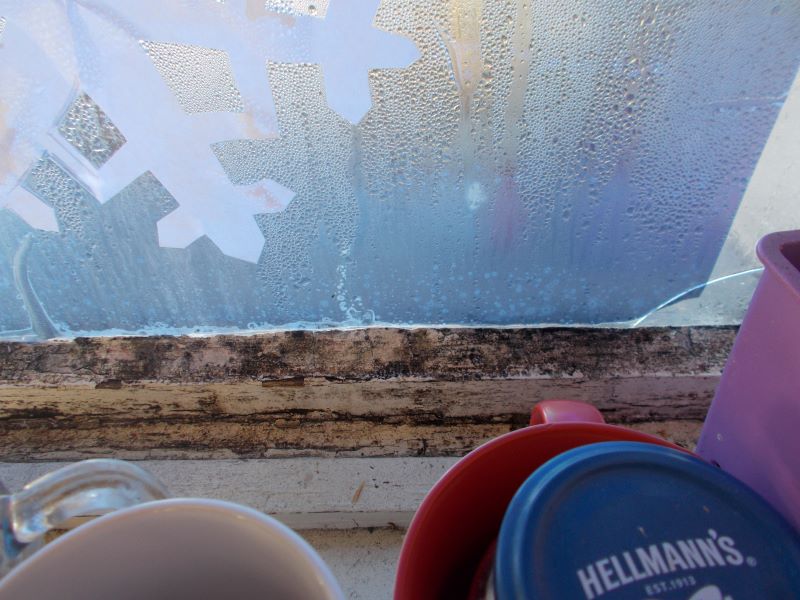 zarosená okna a plíseň