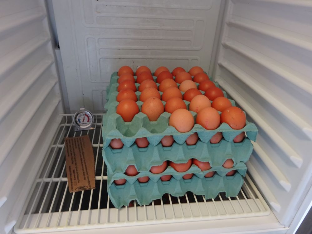 správný příklad skladování vajec